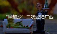 “桦加沙”二次登陆广西北海沿海 登陆时强度为热带风暴