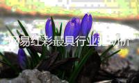 网易红彩最具行业驱动价值平台 以用户价值为核心