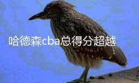 哈德森cba总得分超越朱芳雨排名第二 生涯总分11180分
