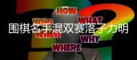 围棋名手混双赛落子力明 男女搭档演绎别样精彩