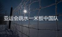 亚运会跳水一米板中国队名单确定 老将彭健烽入选