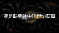 亚足联典礼中国足协获草根足球大奖 足协书记杜兆才领奖