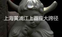 上海黄浦江上首座大跨径自锚式悬索桥合龙