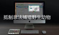 抵制非法捕猎野生动物 看到这种笼子要马上举报