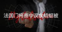 法国门将赛中误食蜻蜓被直播 洛里成蜻蜓队长