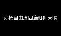 孙杨自由泳四连冠仰天呐喊  孙杨游泳世锦赛几金成绩盘点