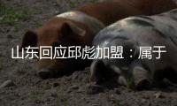 山东回应邱彪加盟：属于球迷猜测 还没签合同