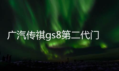 广汽传祺gs8第二代门槽垫2022款22传奇汽车用品配件内饰21改装件