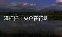 降杠杆：央企在行动  减负债严投资管金控