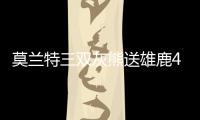 莫兰特三双灰熊送雄鹿4连败 火箭险胜独行侠