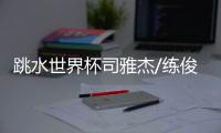 跳水世界杯司雅杰/练俊杰混双十米台夺中国首金