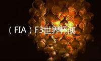 （FIA）F3世界杯澳门正赛发生赛车事故：女车手失控飞出赛道