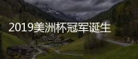2019美洲杯冠军诞生 巴西队时隔12年历史第9次夺冠