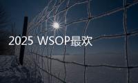 2025 WSOP最欢乐赛事！双人赛变装秀火了，公主、蔬菜、姐妹花全登场！