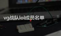 vg战队lol成员名单2020 VG夏季赛大名单阵容完整版出炉