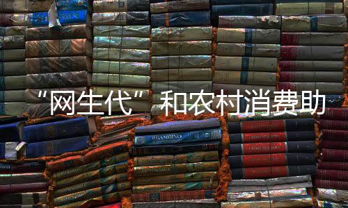 “网生代”和农村消费助推 农村消费强劲增长