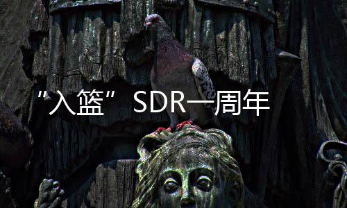 “入篮”SDR一周年 人民币国际化更上层楼