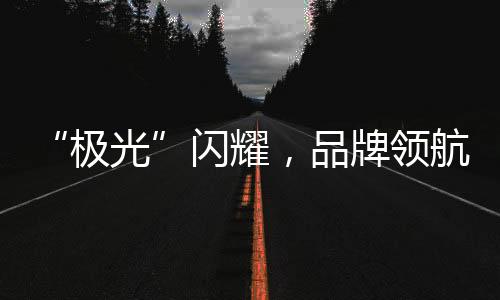 “极光”闪耀,品牌领航