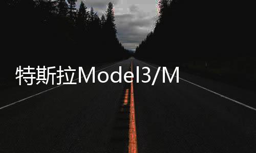 特斯拉Model3/ModelY/X原装启动电瓶12V33Ah原厂辅助蓄电池ModelS