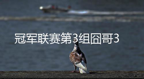 冠军联赛第3组囧哥3