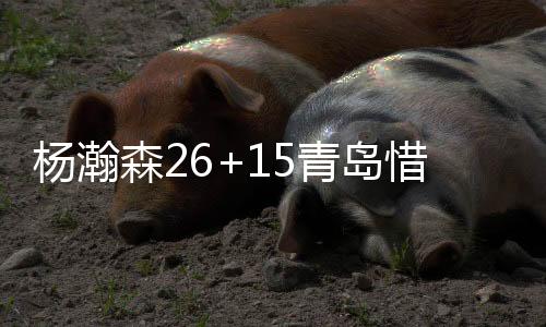 杨瀚森26+15青岛惜败广东 高登42分四川负同曦