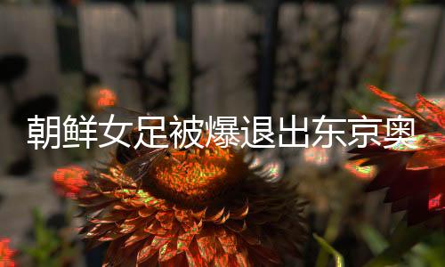 朝鲜女足被爆退出东京奥运预选赛 中国女足晋级率大增