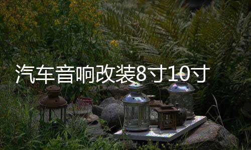 汽车音响改装8寸10寸12寸车载无源低音炮双音圈纯低音喇叭重低音