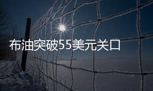 布油突破55美元关口 报55.07美元/桶