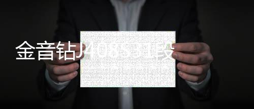 金音钻J408S31段音响改装汽车功放dsp音频处理器8路大功率无损