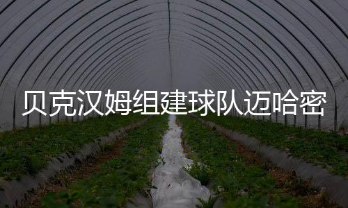 贝克汉姆组建球队迈哈密新球场蓝图曝光:造价7.5亿镑