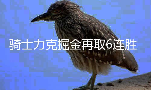 骑士力克掘金再取6连胜 KD35分太阳不敌独行侠