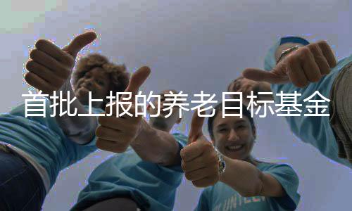 首批上报的养老目标基金中有20只已经获得第一次反馈